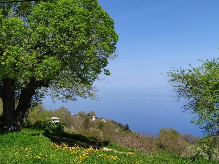 μπαλκόνι του αιγαίου/ Aegean Balcony Tsagarada