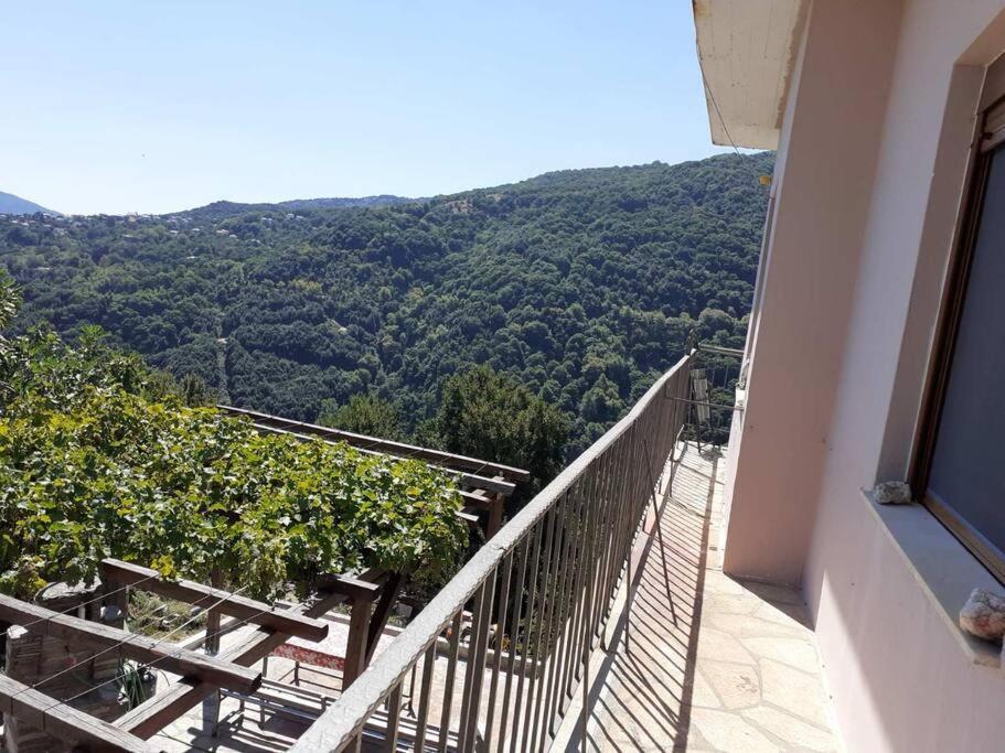μπαλκόνι του αιγαίου/ Aegean Balcony Apartment *