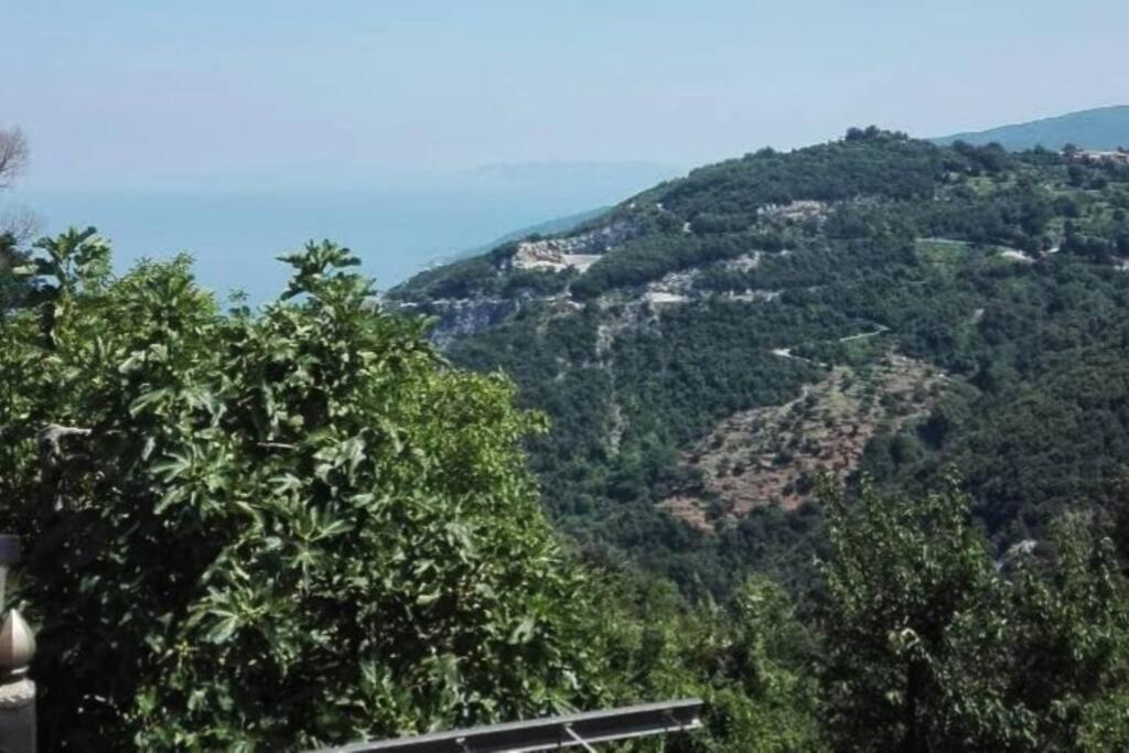 μπαλκόνι του αιγαίου/ Aegean Balcony *