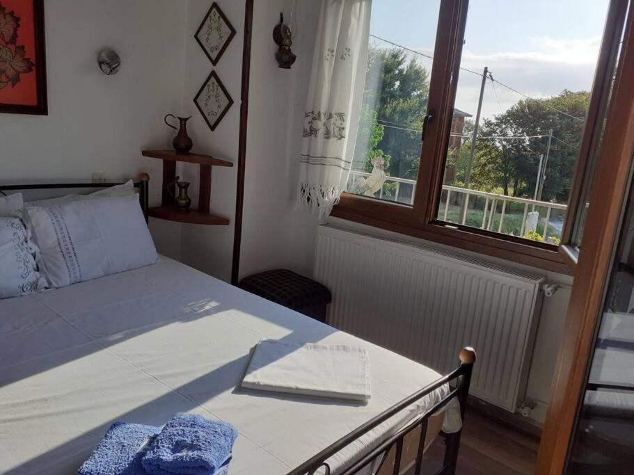 μπαλκόνι του αιγαίου/ Aegean Balcony Apartment Tsagarada