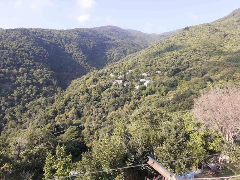 μπαλκόνι του αιγαίου/ Aegean Balcony Apartment Tsagarada